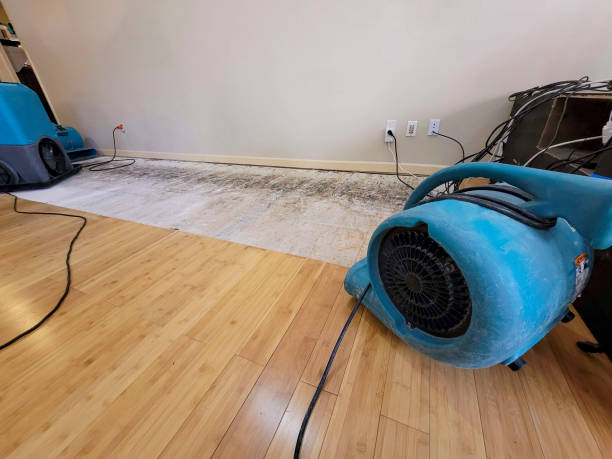 Professional Emergency Water Damage technician working in Port Angeles, WA